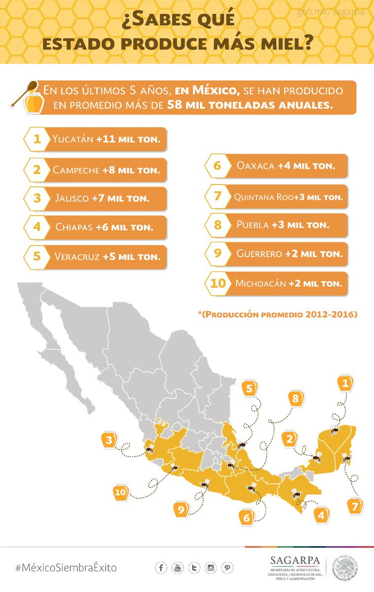 Honey producers states in Mexico