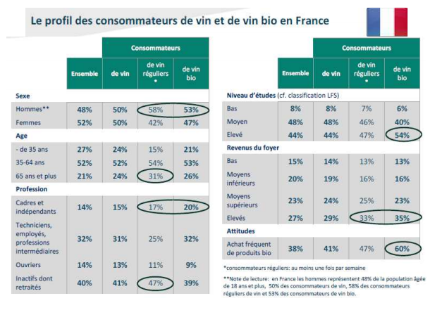 Profile of the type of consumer in France