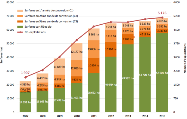 Major increase in vineyard conversion in France